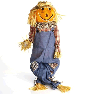 HSN.com: Fiber Optic 48 inch Scarecrow